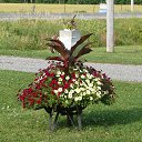 ��� ����� ������, ����� �������� �� ������� ���� ����������