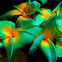 ���� ���������, ��������� - ��������� 26 ������� 2015 � ������ ������ ��������
