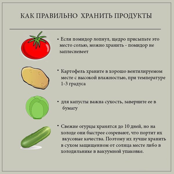 Как правильно хранить продукты в холодильнике.#советы@bon.appetit#инфографика@bon.appetit