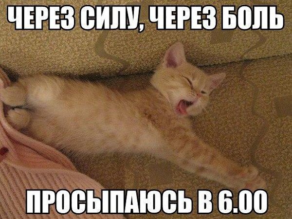       - 7  2016  14:04