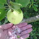 ���� ������, �����-��������� - ��������� 2 ������� 2015 � ������ ���� ����������