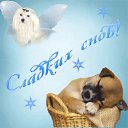 ���� ������� (� ���...), ��������, 52 ���� - ��������� 27 ������ 2015 � ������ ������ ��������
