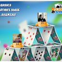 ���� ������, ���������, 52 ���� - ��������� 14 ������� 2016 � ������ �������� �������-�������