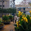 ���� Larisa, �������� - ��������� 21 ������ 2015 � ������ ���� ����������