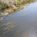 ���� ������, ����������� - ��������� 10 ������ 2015