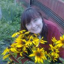 ���� ��������, �������, 52 ���� - ��������� 24 ������ 2015 � ������ ���� ����������