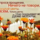 ���� ���������, ������, 44 ���� - ��������� 10 ������� 2015 � ������ ��������������