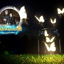 ���� ��������, ��������, 39 ��� - ��������� 1 ������� 2015 � ������ �� � ���������!�