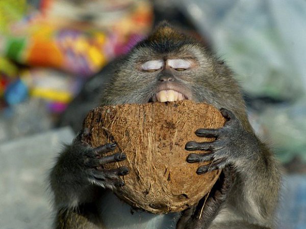 Look at this... 🌏 - 24 ������ 2015 � 05:57