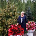 ���� �������, �������, 72 ���� - ��������� 11 ������ 2015 � ������ ������ ��������