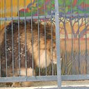 ���� �������, �������, 50 ��� - ��������� 13 ������� 2016 � ������ ���� ����������