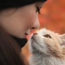 ���� ����, ������� ������ - ��������� 11 ������� 2015 � ������ ���� ����������