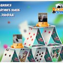 ���� �����, ��������� - ��������� 6 ����� 2016 � ������ �������� �������-�������