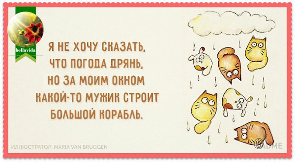 �������� ��������� - 8 ������� 2015 � 03:55