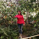 ���� �����, ��������, 51 ��� - ��������� 16 ������� 2015 � ������ ���� ����������