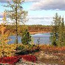 ���� �� ������� �������