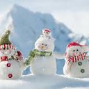 ���� �����, ���� - ��������� 4 ������� 2015 � ������ ���� ����������