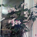 ���� �����, �����-��������� - ��������� 28 ������� 2016 � ������ ������ ��������