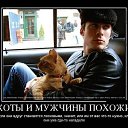 ���� Inna, ������, 44 ���� - ��������� 23 ������ 2016 � ������ ������ ��������