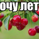 ���� ����� ���������, ���� - ��������� 8 ������� 2016 � ������ ������ ��������