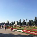 ���� ��������, ������ - ��������� 9 ������� 2015 � ������ ���� ����������