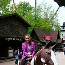 ���� �����, �����-���������, 43 ���� - ��������� 3 ������� 2015 � ������ ���� ����������