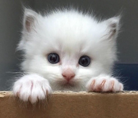   ? :)