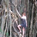 ���� �������, ���������, 59 ��� - ��������� 17 ������ 2016 � ������ ���� ���� ������