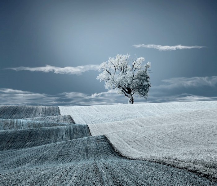    (Caras Ionut)..       ... - 8