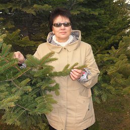 ���� ��������, ������ ����� - ��������� 3 ������� 2016