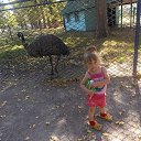 ���� ����������, �����������, 42 ���� - ��������� 24 ������� 2015 � ������ �����������