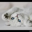 ���� ������, �����, 53 ���� - ��������� 25 ������� 2015 � ������ ���� ����������