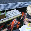 ���� ������, ����������� - ��������� 10 ����� 2016 � ������ ���� ����������