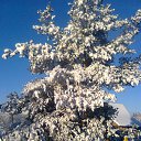 ���� ��������, ������� ���� - ��������� 5 ����� 2016 � ������ ���� ����������