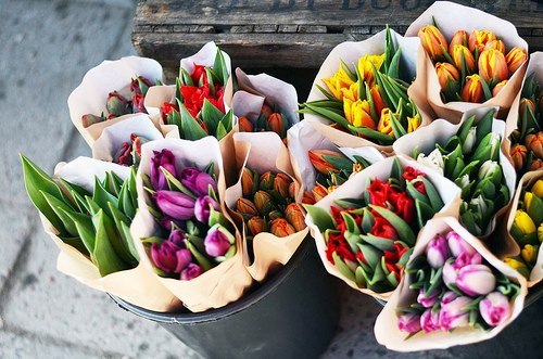          -     " "  -   : https://fotostrana.ru/away?to=/sl/9x2 - 12  2015  18:56