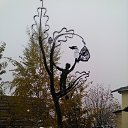 ���� �������, ��������, 54 ���� - ��������� 24 ������� 2015 � ������ ���� ����������