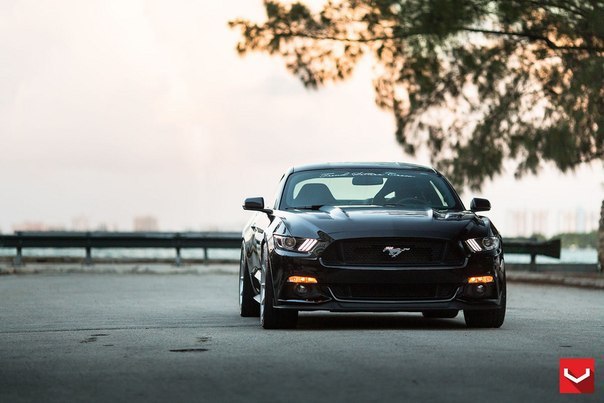 Ford Mustang GT - 3