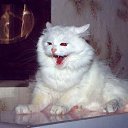 ���� �����, ������ - ��������� 10 ������ 2015 � ������ ������ ��������