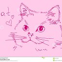 ���� ���, ������, 28 ��� - ��������� 27 �������� 2015 � ������ ���� ����������