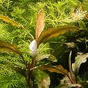 ���� ������, ������, 59 ��� - ��������� 21 ������� 2015 � ������ ���� ����������