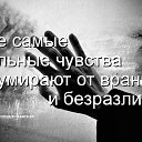 ���� �������, ����� - ��������� 24 ������� 2015 � ������ ������ ��������