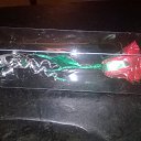 ���� ����, ���-��, 62 ���� - ��������� 2 ������ 2015 � ������ ������ ��������