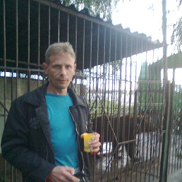 ������, ������, 51 ���