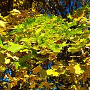 ���� Oksana, ����� - ��������� 14 ������� 2015 � ������ ���� ����������