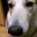 ���� �����, ������, 52 ���� - ��������� 22 ������ 2015 � ������ ���� ,,�����,,�