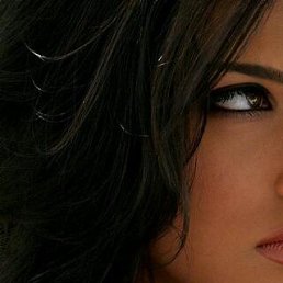 ������, ���������� �����, 47 ���