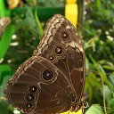  ,  -  18  2016     Ȼ