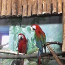 ���� ����������, ������ �������� - ��������� 13 ������� 2015 � ������ ������ ��������