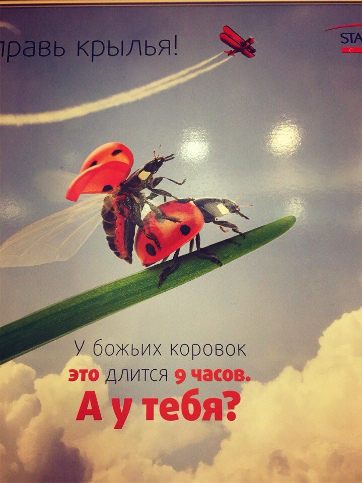      -2)))))