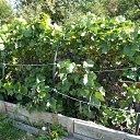 ���� ������, �������, 76 ��� - ��������� 26 ������ 2016 � ������ ���� ����������